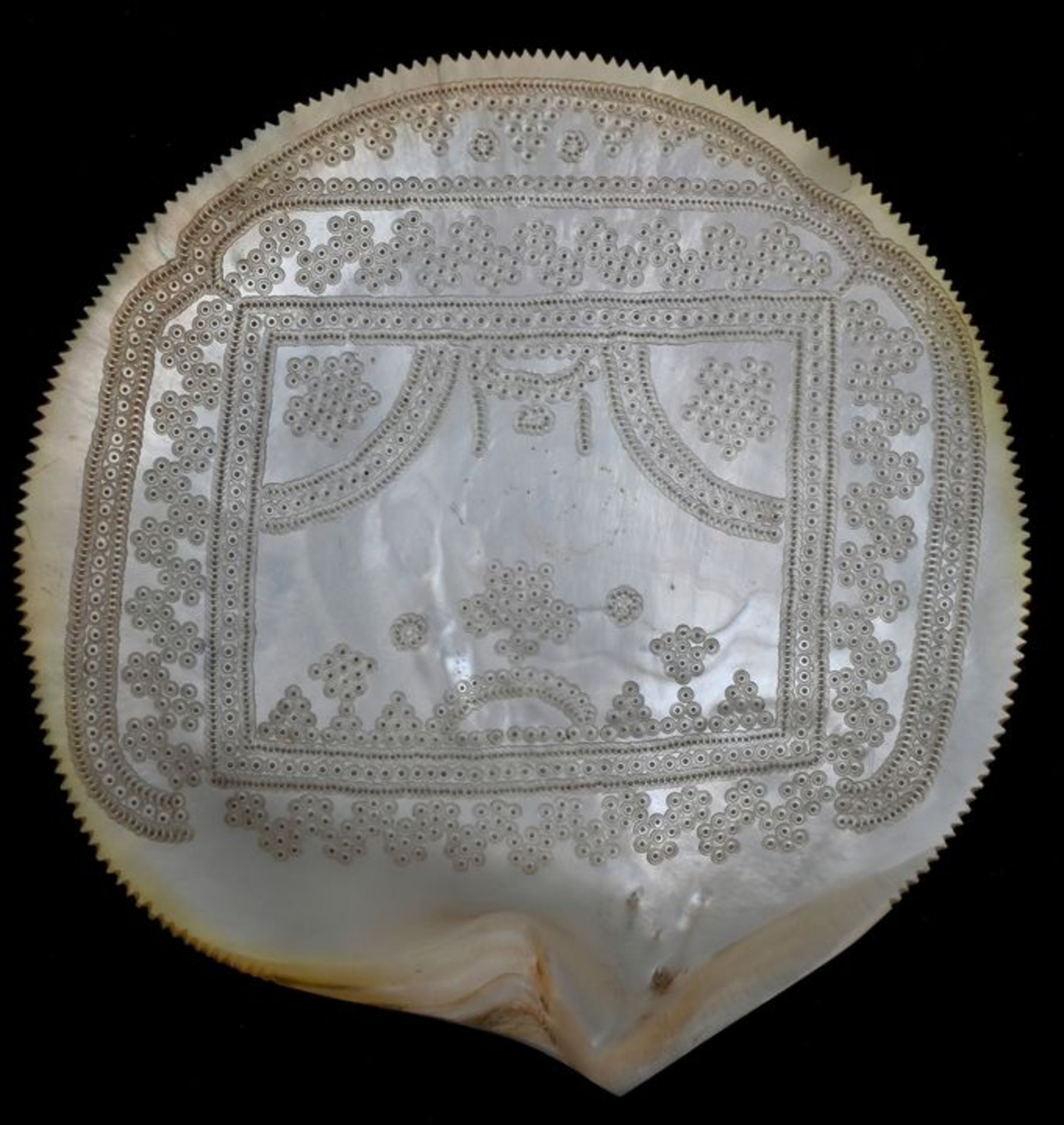 Muschel mit LochgravurPerlmutt Sammlernummerierung auf der Rückseite, D. 14,5 cm Shell with