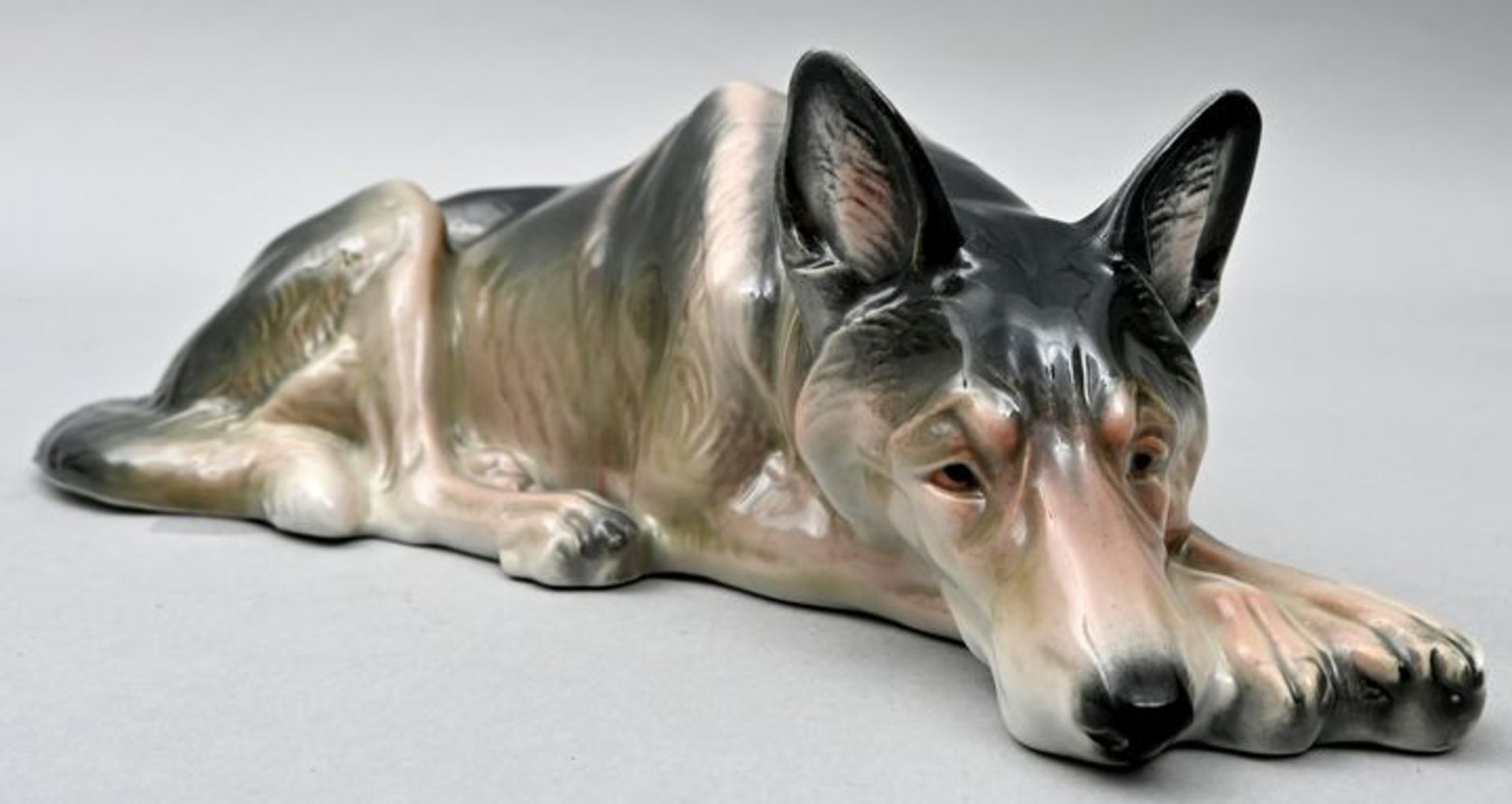 Porzellanfigur Schäferhund, Ilmenau, Metzler & Ortloff, um 1910/ 1920Liegendes Tier, den Kop