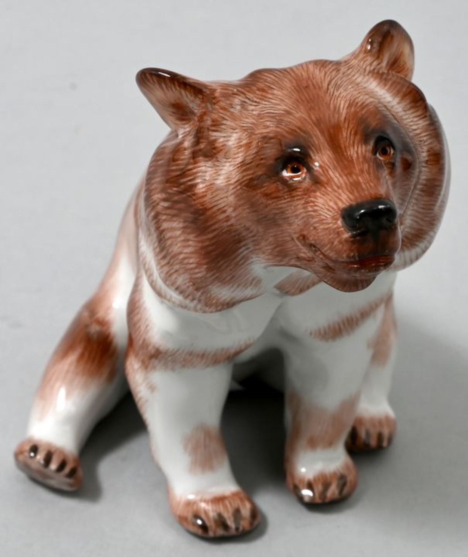 Kragenbär sitzend, Meissen, 1989Modell Erich Hösel 1905-1910. Porzellan, Staffierung in bra