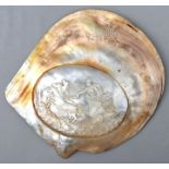 Muschel mit Darstellung der AthenePerlmutt Sammlernummerierung auf der Rückseite, leichte Be