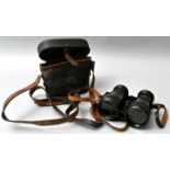 Fernglas / binoculars