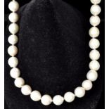 Collier / Pearl necklace