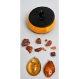 Kleiner Posten Bernstein in Zelluloiddose / amber items