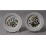 Teller, Meissen / two plates