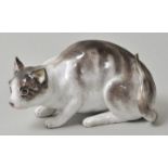 Tierfigur Katze Meissen/ porcelain cat, Meissen