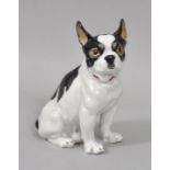 Porzellanfigur Bulldogge, Meissen/Porcelain figure bulldog, Meissen