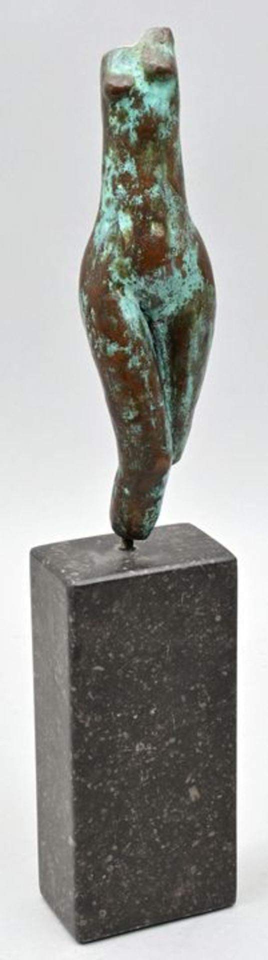 de Lange-van Dijk, Torso / de Lange-van Dijk, Torso