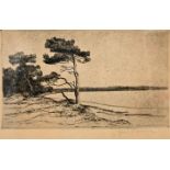 Paulsen, Ingwer, Radierung / etching