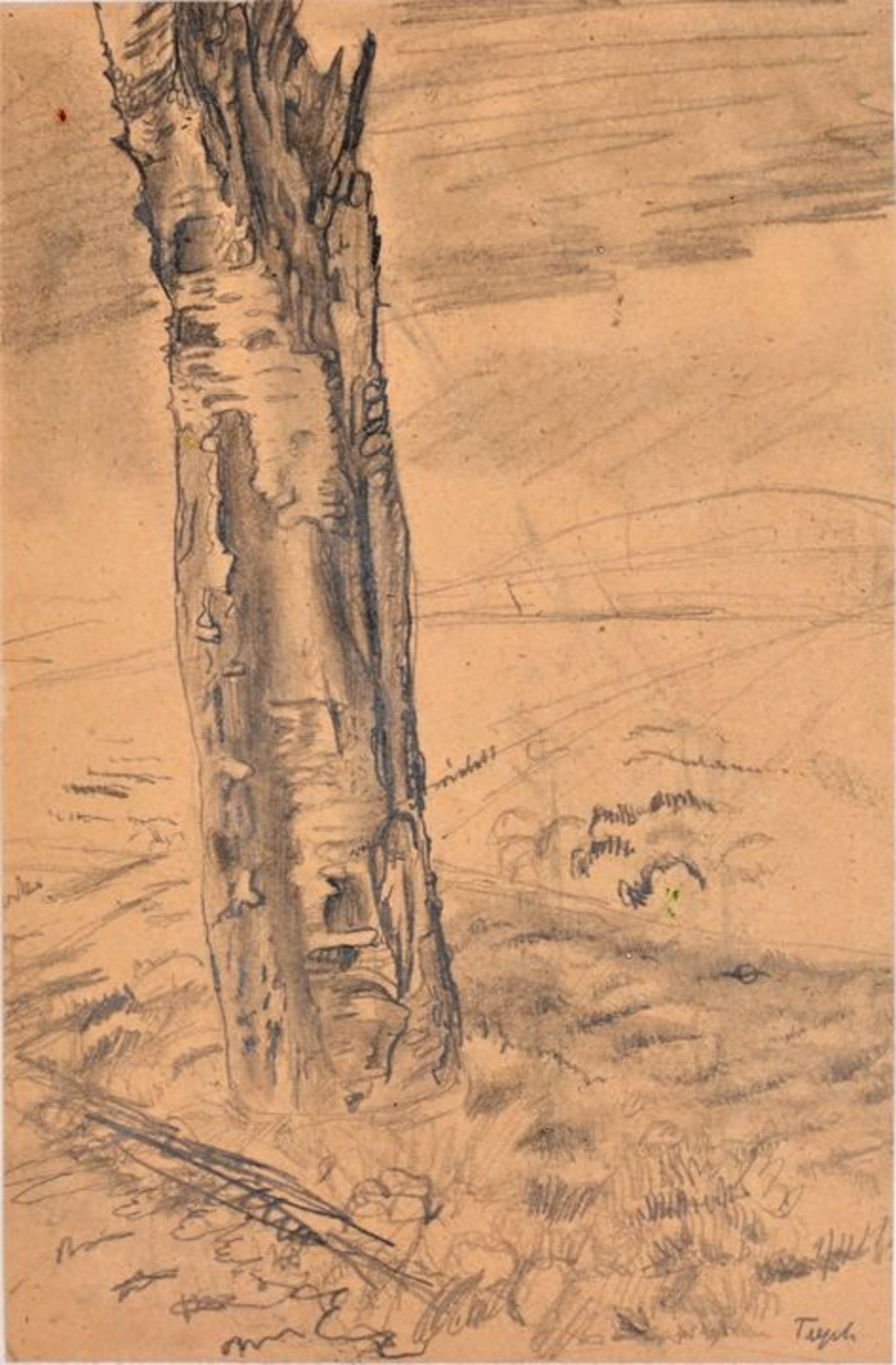 Trepte, Baumstudien / Trepte, Studies of trees - Bild 4 aus 7