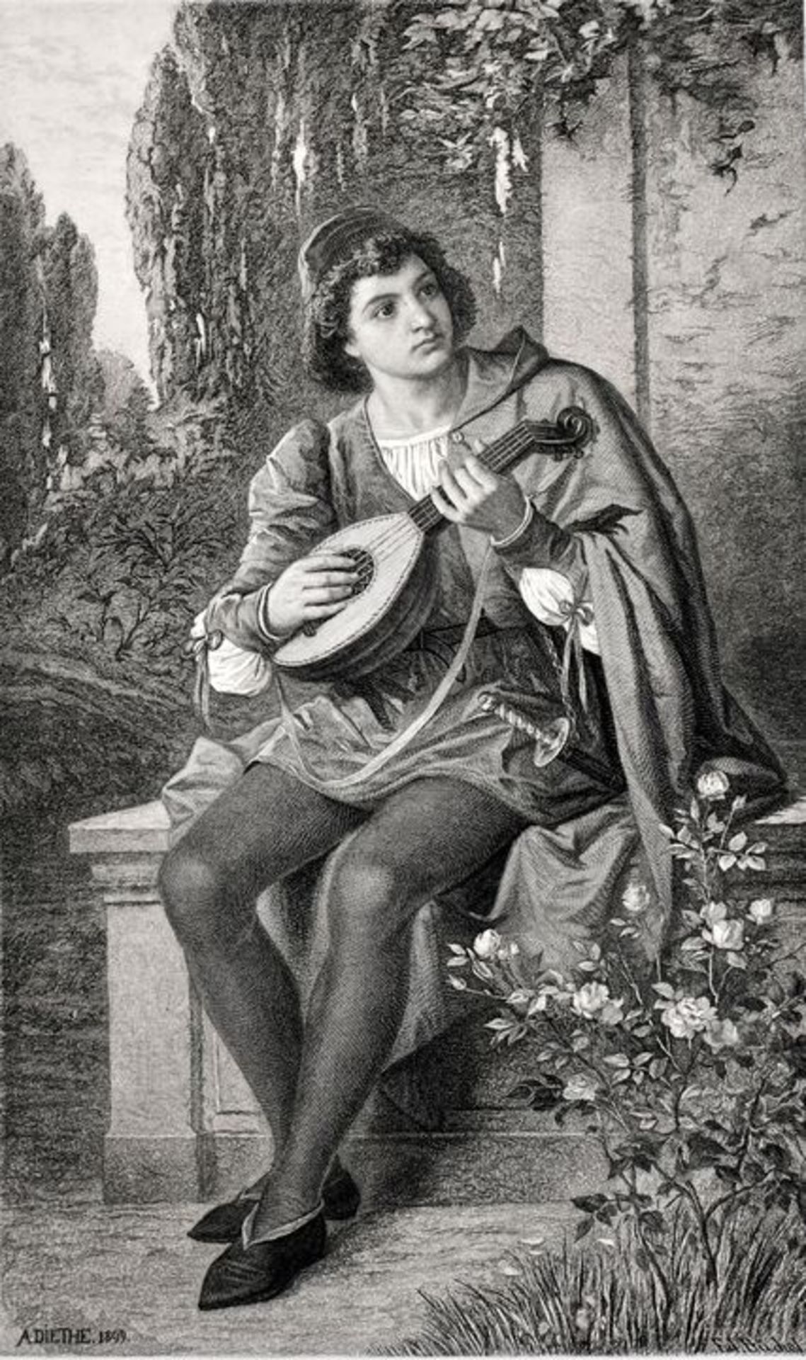 Diethe Lautenspieler / Diethe, Lute player