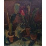 Reimer, Paul (?) Sukkulenten / stillife with cactus