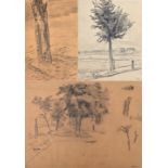 Trepte, Baumstudien / Trepte, Studies of trees