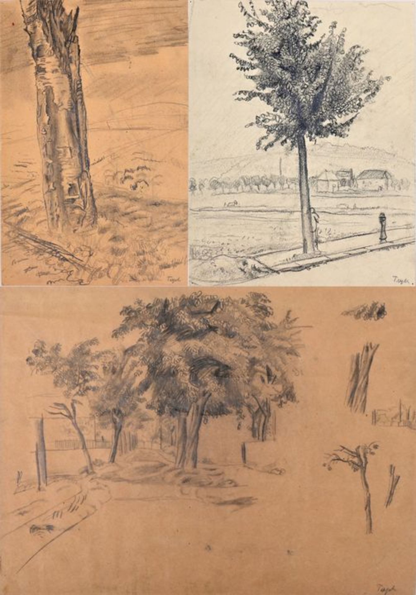 Trepte, Baumstudien / Trepte, Studies of trees