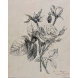 von Oertzen, Rose / drawing rose