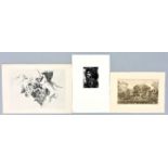 Konvolut Weidensdorfer, Claus / Wittig, Ute / unbekannt, drei Radierungen / Threee unknown etchings