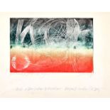 Steiner Werner Farbrad. Die Blumen der Stadt / colour etching