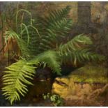 Aschmann, Gemälde / Fern plant at a creek, painting