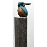 Wortelboer Eisvogel / Wortelboer, Kingfisher