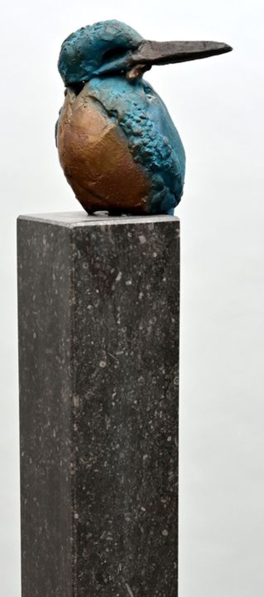 Wortelboer Eisvogel / Wortelboer, Kingfisher