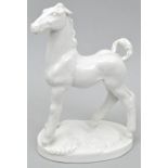 Porzellanfigur "Fohlen", Meissen / Porcelain figure "foal", Meissen