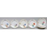 Acht Abendbrotteller, Meissen / Eight plates, Meissen