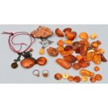 Konvolut Rohbernsteine / Cluster of amber