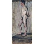 Aktstudie / Male nude