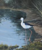 λ Alan M. Hunt (British b.1947), Black winged stilt