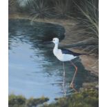 λ Alan M. Hunt (British b.1947), Black winged stilt