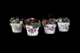 A group of four Continental porcelain flower pots