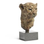 λ HAMISH MACKIE (B. 1973), BRONZE CHEETAH HEAD