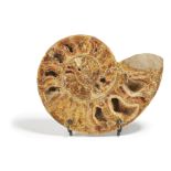 A FOSSILISED AMMONITE HALF