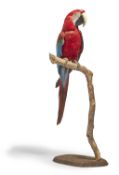 Y [Taxidermy] A PRESERVED MODEL OF A RED-AND-GREEN MACAW