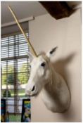 A TAXIDERMY UNICORN HEAD AND NECK WALL MOUNT, LATE 19TH/EARLY 20TH CENTURY