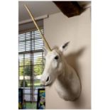 A TAXIDERMY UNICORN HEAD AND NECK WALL MOUNT, LATE 19TH/EARLY 20TH CENTURY