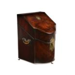 Y A George III mahogany and ebony strung knife box