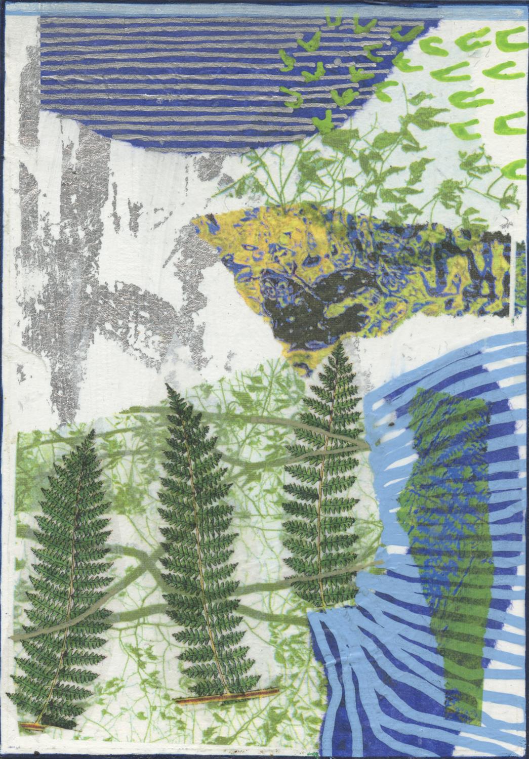 Frances Ryan, River Ferns 1, 2021