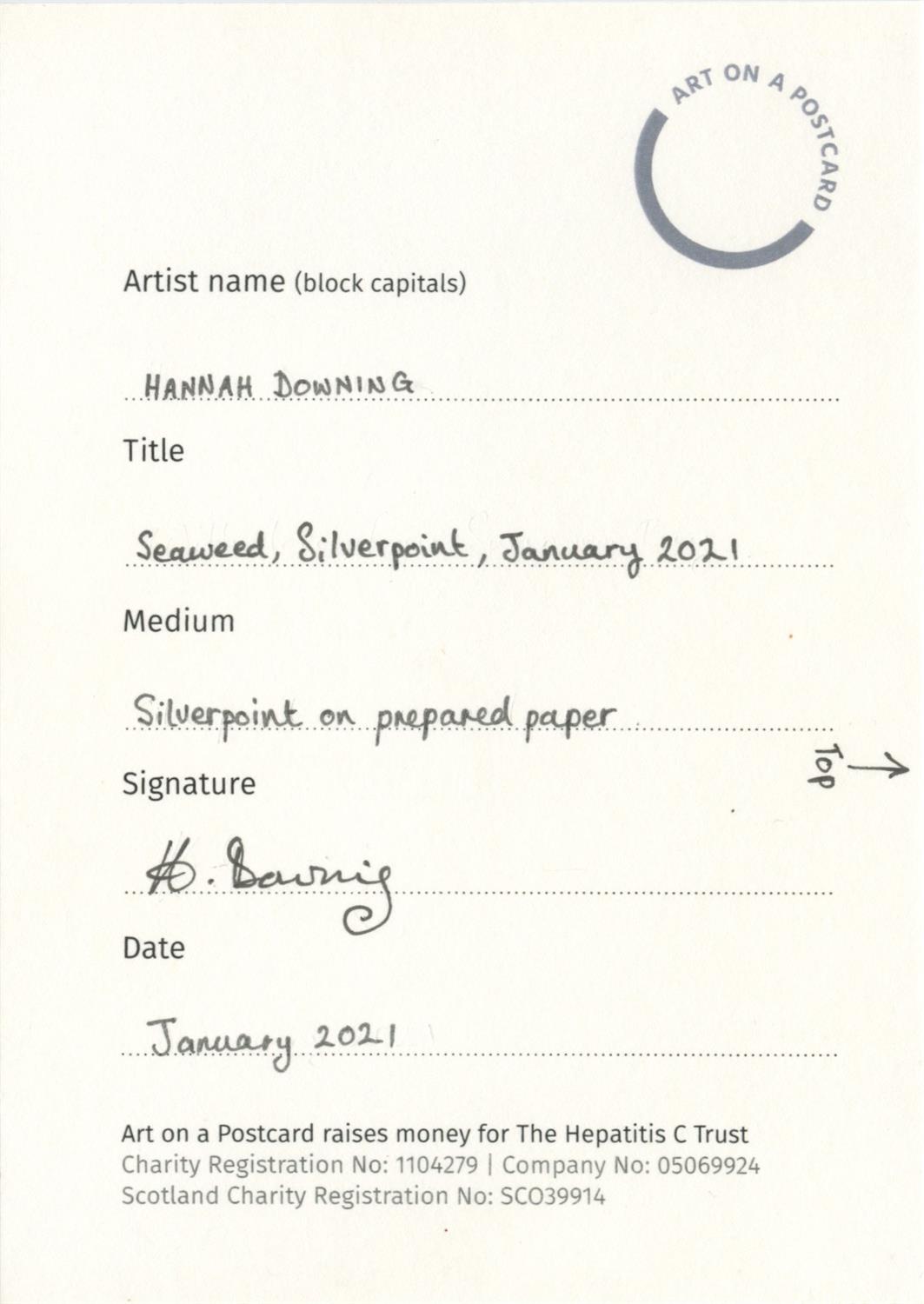 Hannah Downing, Seaweed, Silverpoint, January 2021 - Image 2 of 3