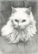 Ofelia Andrades M, 'Blanquita' Artist's Cat, 2021