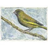 Ruth Addinall, Greenfinch, 2020