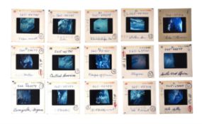 An assortment of early generation slides including Gemini and Apollo photography