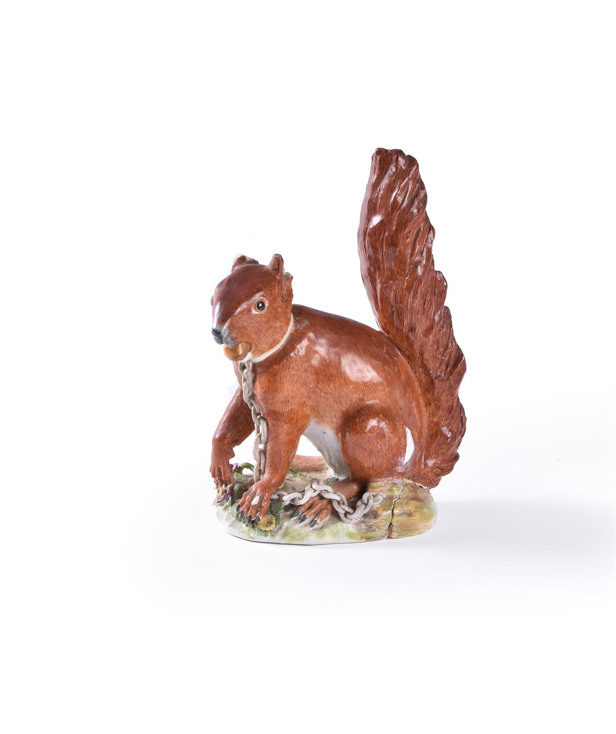 A Meissen model of a squirrel