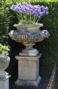 A stone composition garden urn on plinth, in Edwardian taste