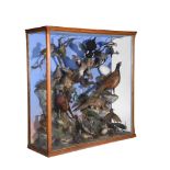 Y A late Victorian oak and glazed mixed case of preserved British birds