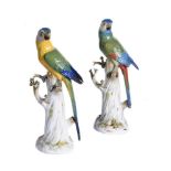Two similar Meissen models of parrots