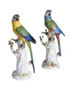 Two similar Meissen models of parrots