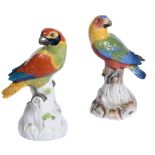 Two similar Meissen models of parrots