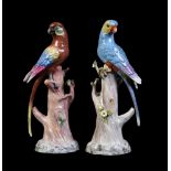 A pair of Carl Thieme (Potsachappel, Dresden) models of parakeets in the Meissen style