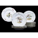 Fourteen similar Meissen ornithological plates