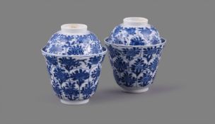 A good pair of Chinese porcelain blue and white moulded cups and covers